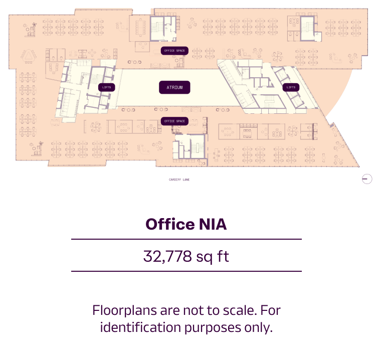 The Building